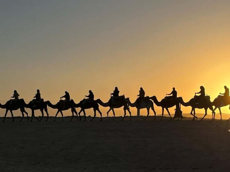 Marrakech: Agafay Camel Ride Sunset and Dinner with Show - Authentic Experiences and Honest Impressions