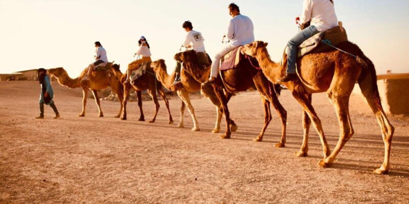 Marrakech: Agafay Camel Ride Sunset and Dinner with Show - The Sum Up