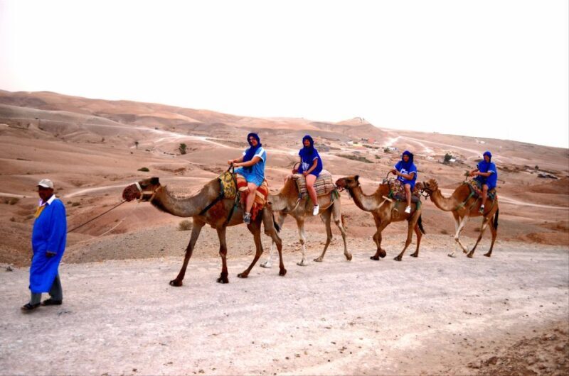 Marrakech: Agafay Desert Buggy Tour with Transfer - Who Should Consider This Tour?