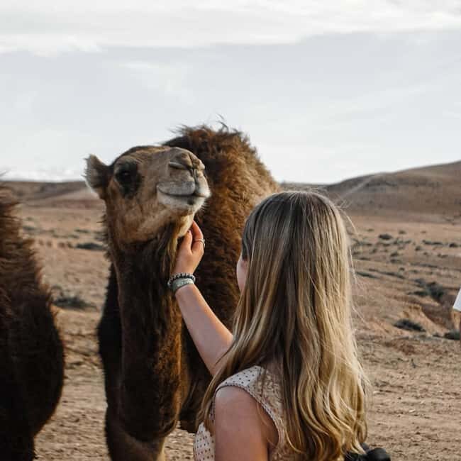 Marrakech: Agafay Desert Camel & Quad Rides with Dinner Show - Additional Tips