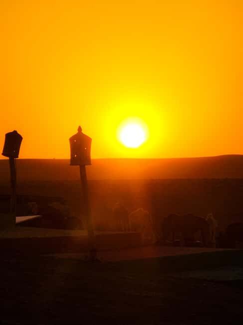 Marrakech: Agafay Desert Camel Ride, Dinner, Pool & Quad - Final Thoughts