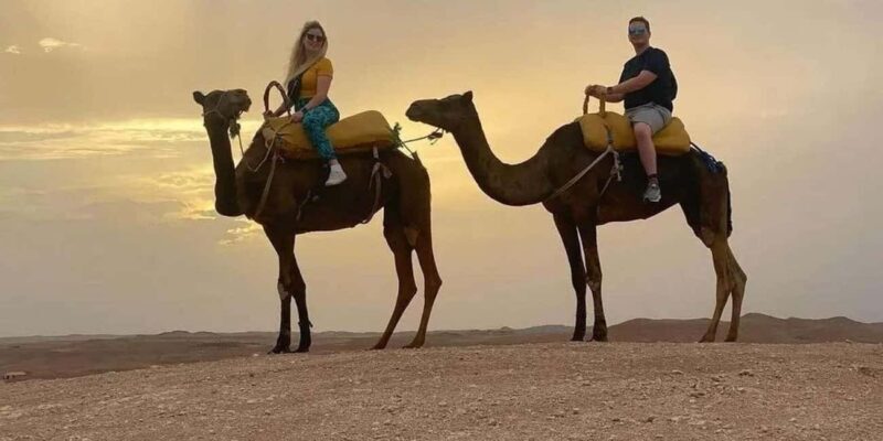 Marrakech: Agafay Desert, Camel Ride, Sunset and Dinner Show - Key Points