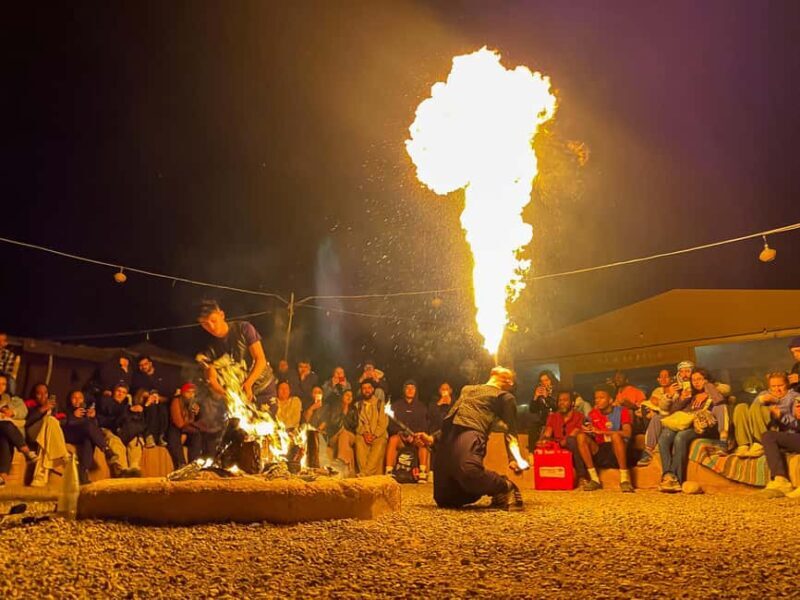Marrakech: Agafay Desert Camel Ride with Dinner & Show - An Honest Look at the Experience