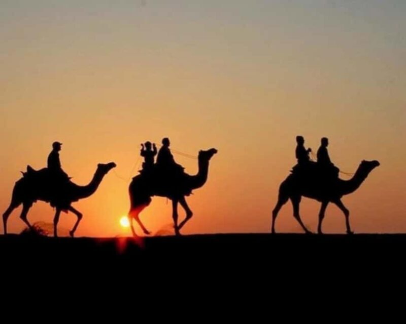 Marrakech: Agafay Desert Camel Rides, Dinner and Fire Show - Key Points
