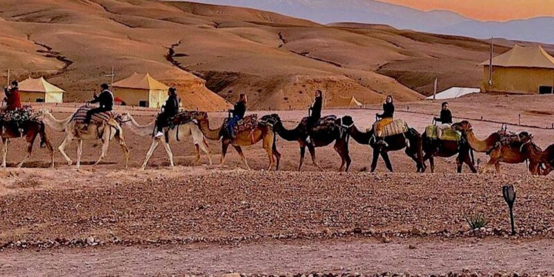 Marrakech: Agafay Desert Camel Rides, Dinner and Fire Show - Final Thoughts