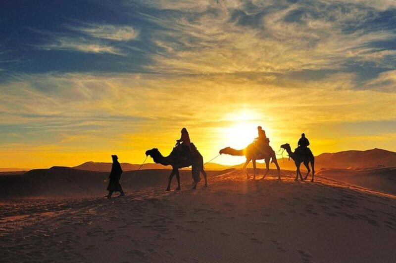 Marrakech: Agafay Desert Dinner and Sunset Camel Ride Trip - Key Points