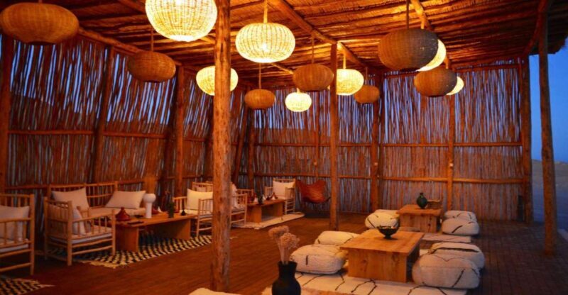 Marrakech: Agafay Desert Dinner, Camel Ride, and Music Show - What Makes This Tour Special?