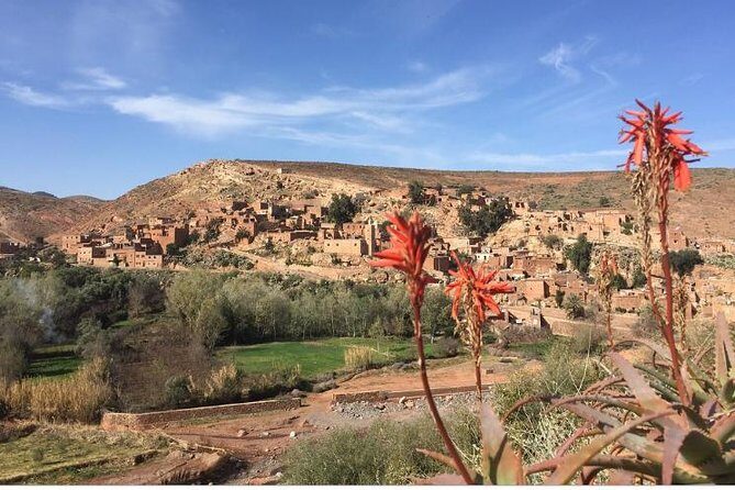 Marrakech: Agafay Desert Dinner, Camel Ride & Quad Biking. - FAQ