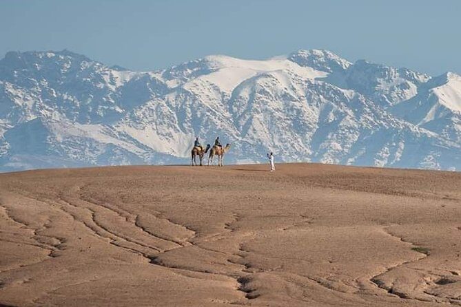 Marrakech: Agafay Desert Dinner Show and Sunset Camel Ride - The Sum Up