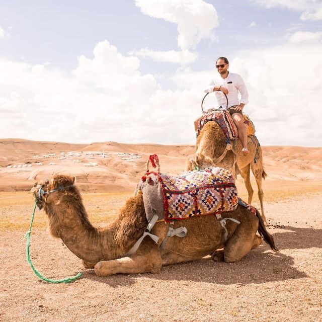 Marrakech: Agafay Desert Dinner with Music and Fire Show - Who Will Love This Experience?