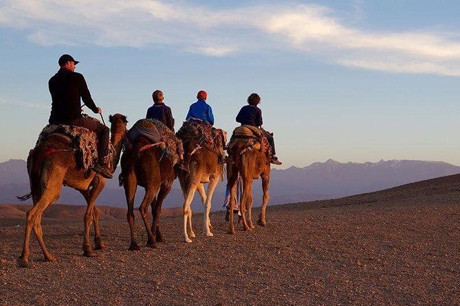 Marrakech : Agafay Desert Evening Trip Under the Stars - Authenticity and Value