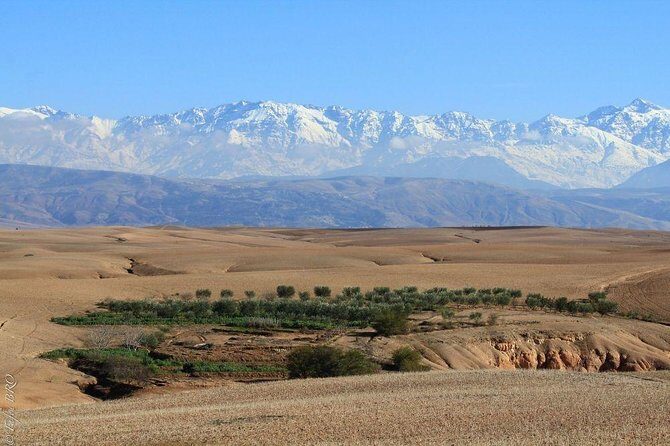 Marrakech : Agafay Desert Evening Trip Under the Stars - Who Will Appreciate This Tour?