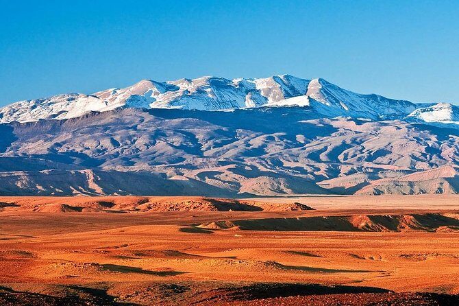 Marrakech : Agafay Desert Evening Trip Under the Stars - The Sum Up
