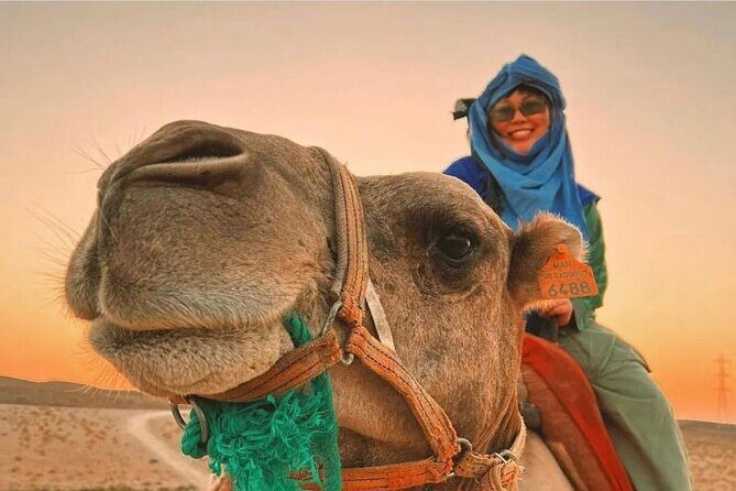 Marrakech : Agafay Desert Evening Trip Under the Stars - FAQ