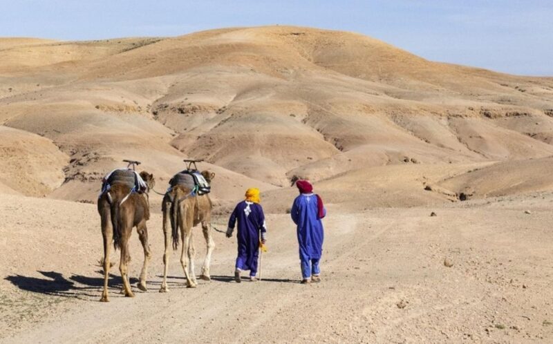 Marrakech: Agafay Desert, Lunch, Camel Ride, & Swimming Pool - An Adventure with a View: Quad Biking in the Agafay Desert