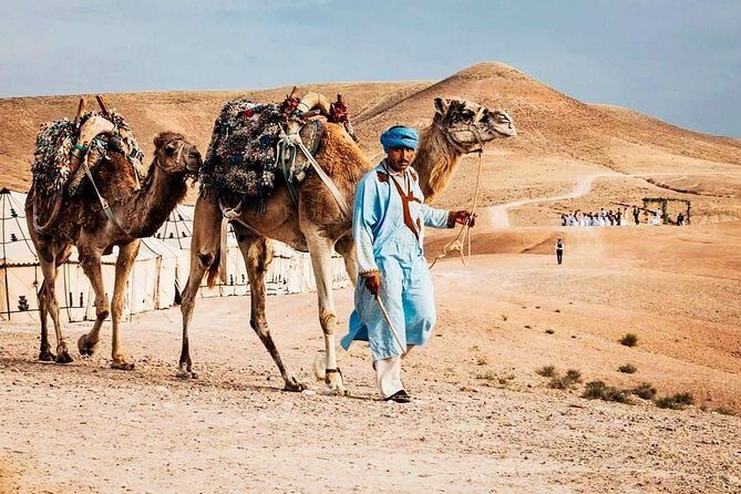 Marrakech: Agafay desert, Magical dinner & sunset and camel ride - The Sum Up