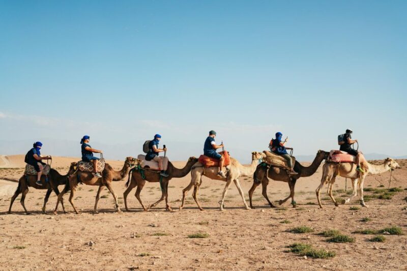 Marrakech: Agafay Desert Pool, Dinner & Live Show Experience - Authenticity and Cultural Highlights