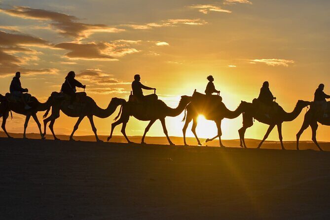 Marrakech: Agafay Desert Quad Biking & Camel Trek & Dinner & Show - Marrakech: Agafay Desert Quad Biking & Camel Trek & Dinner & Show — A Practical Review