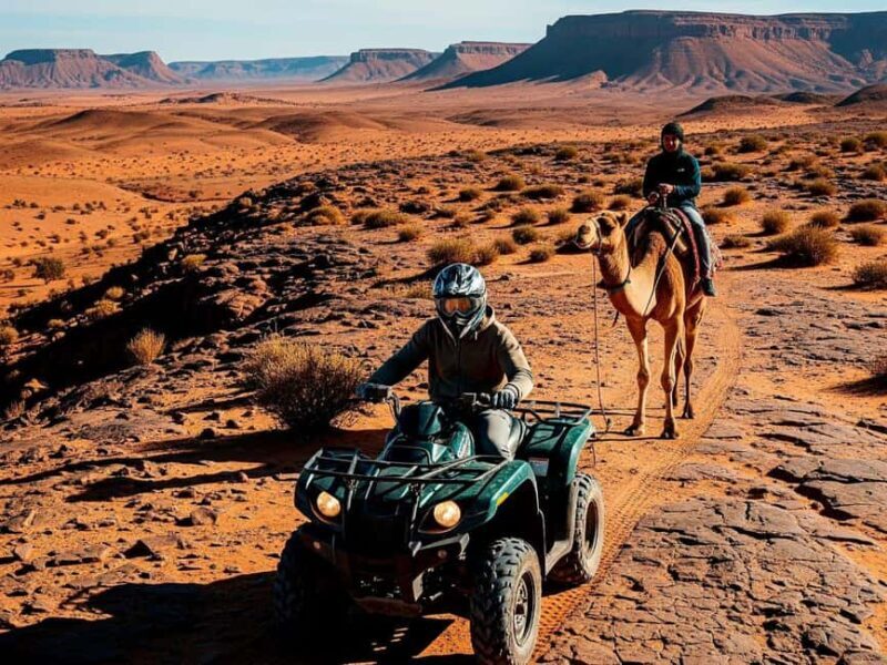 Marrakech: Agafay Desert Quad Biking Tour with Dinner-Show - What Makes This Tour Stand Out?