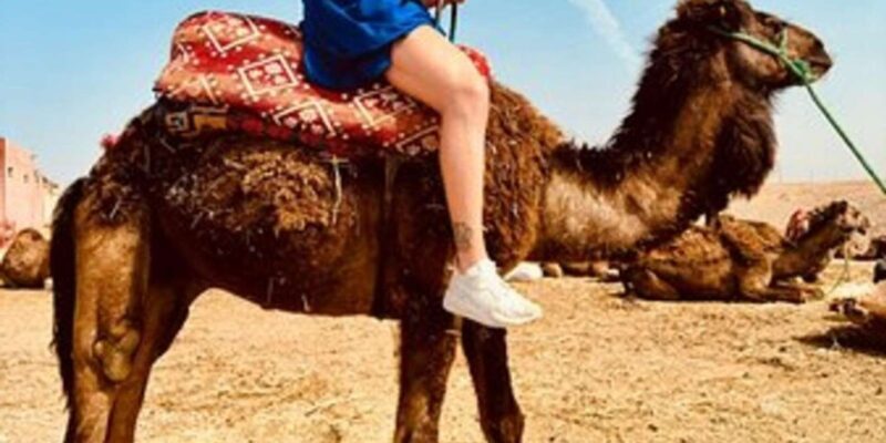 Marrakech: Agafay Desert Quad Biking with Dinner Show - FAQ