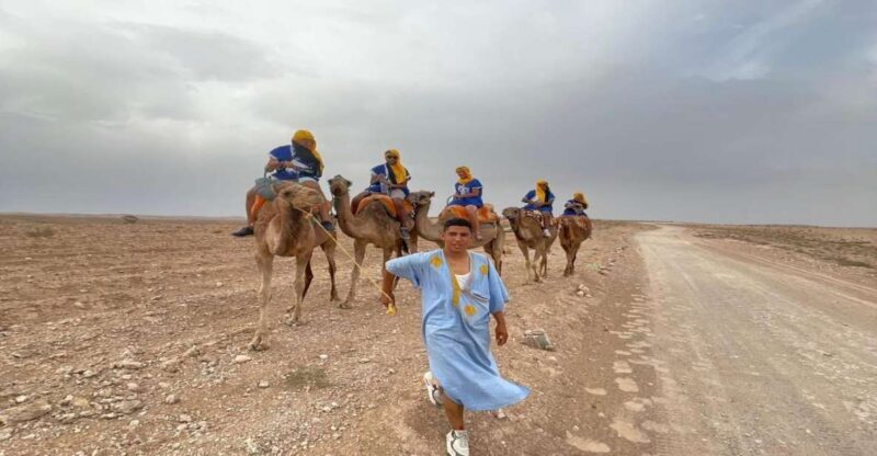 Marrakech: Agafay Desert Quad, Camel & Pool Trip with Lunch - Who Should Consider This Tour?