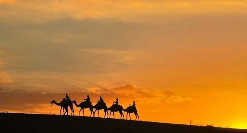 Marrakech: Agafay Desert Quad & Camel Rides with Dinner Show - What Makes This Tour Stand Out?