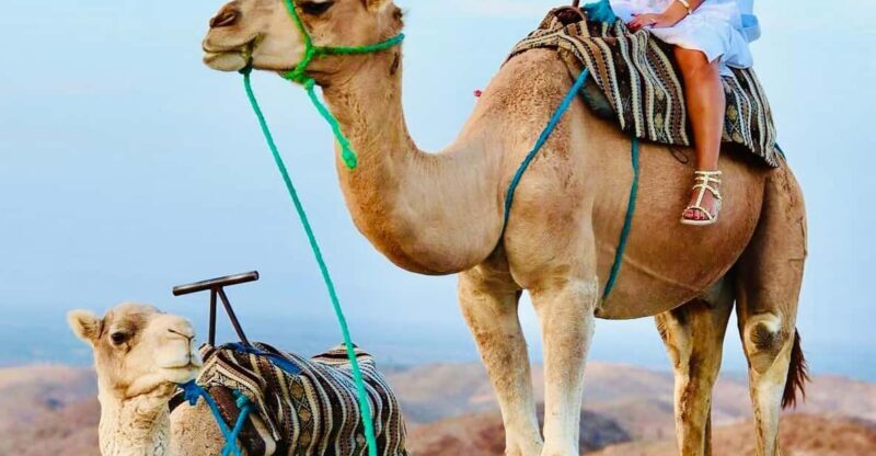 Marrakech: Agafay Desert Quad & Camel Rides with Dinner Show - Practical Details: What’s Included and What to Know