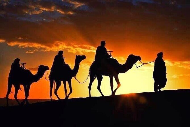 ''Marrakech'' Agafay Desert Sunset - Camel Ride - And Dinner Show - The Itinerary in Detail