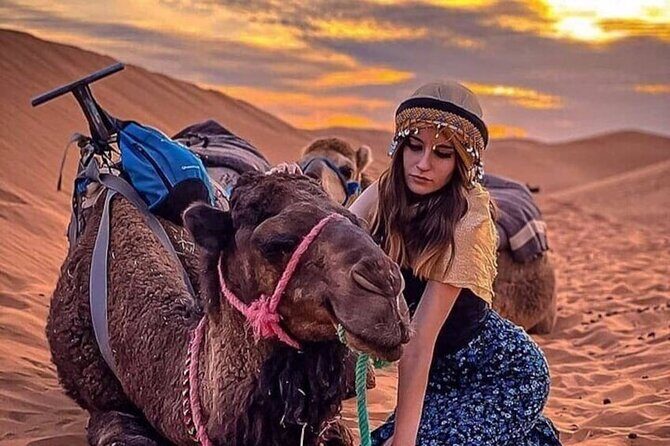 Marrakech: Agafay Desert, Sunset Camel Ride with Dinner Show - Who Is This Tour Best For?