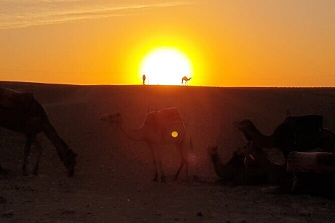 Marrakech: Agafay Desert Tour with Quad, Camel Ride & Dinner - Frequently Asked Questions