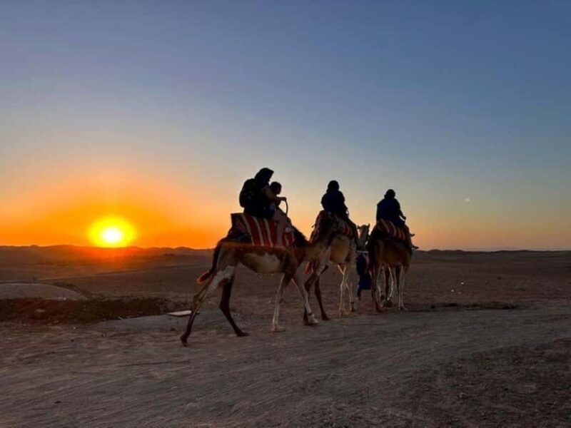 Marrakech: Agafay Desert Trip with Activities and Dinner - The Value of This Experience