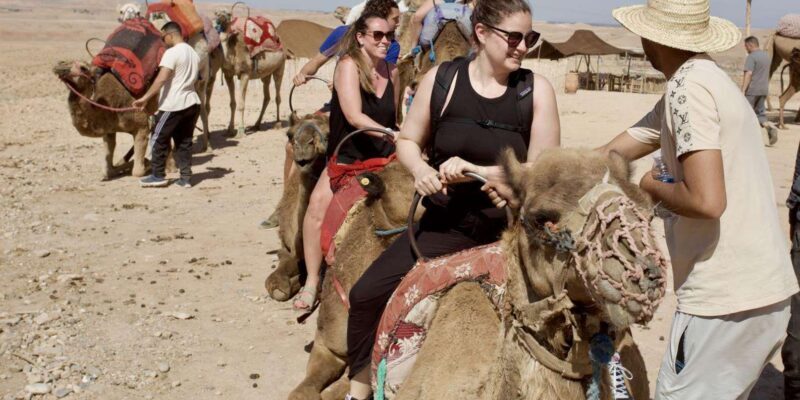Marrakech: Agafay Dinner Show with Quad/Camel Ride and Pool - Who Is This Tour Best For?