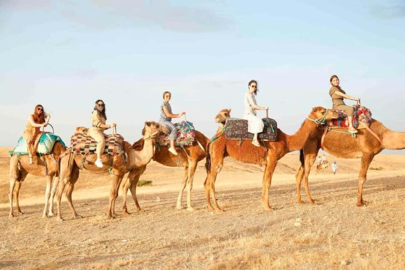 Marrakech: Agafay, Quad, Camel, Dinner, Pool, Dinner show - An In-Depth Look at the Marrakech Agafay Tour