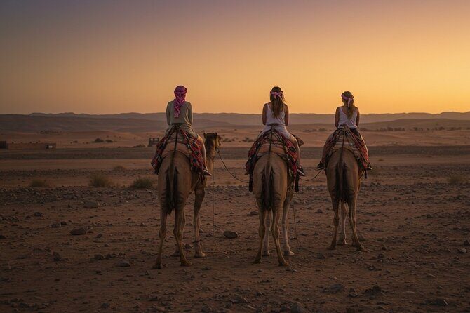 Marrakech Agfay Desert Camel Ride and Dinner Show - FAQs
