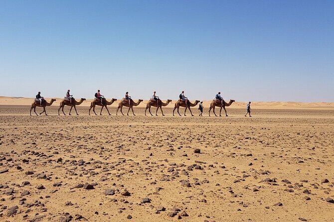 Marrakech Agfay Desert Camel Ride and Dinner Show - Final Thoughts