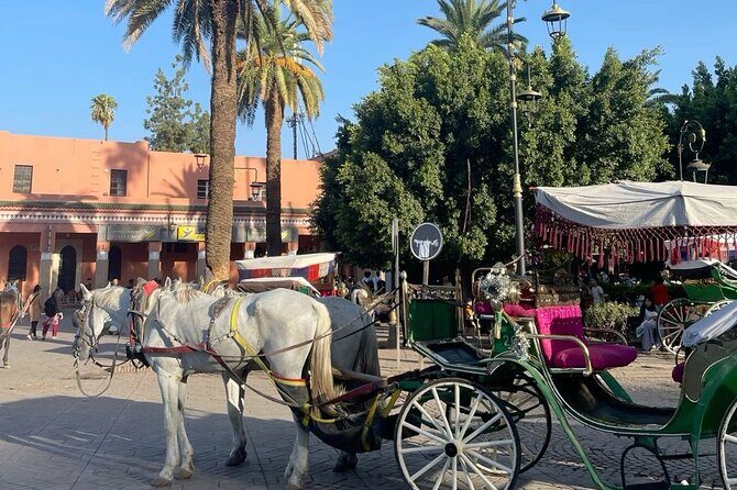 Marrakech: Agfay desert, Dinner Show & Camel ride with Quad bike - Transportation, Group Size, and Practicalities
