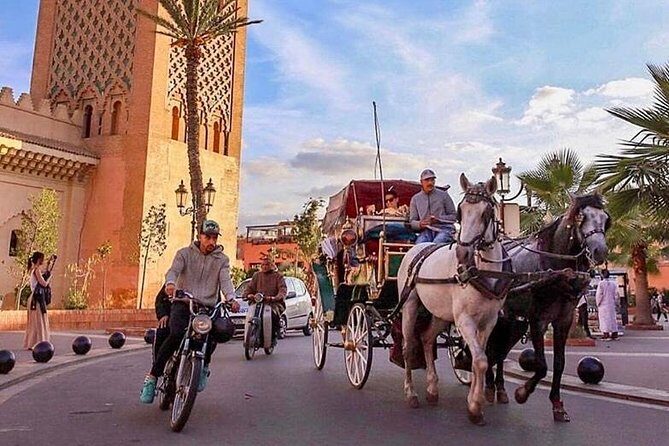 Marrakech Airport Transfers - What Past Travelers Say