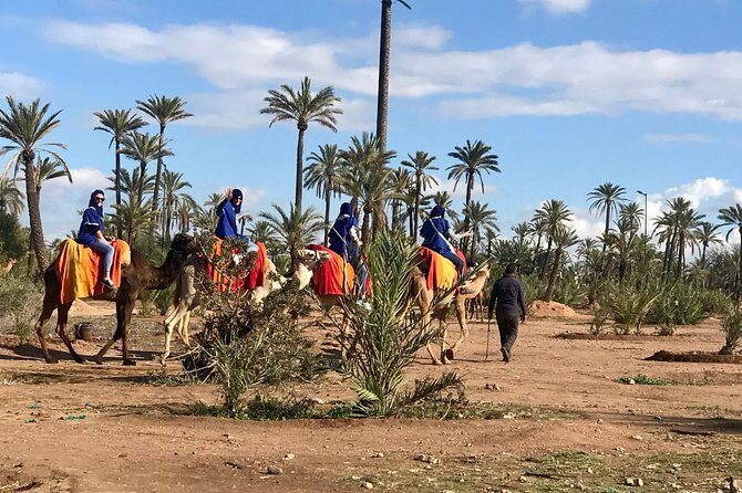 Marrakech Airport Transfers - Additional Info and Flexibility