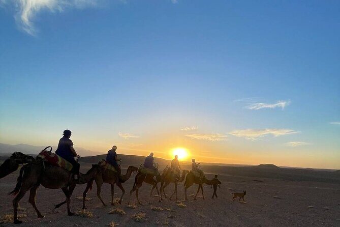 Marrakech Amazing Dinner Show in Agafay Desert, Sunset Camel Ride - Exploring the Itinerary in Detail