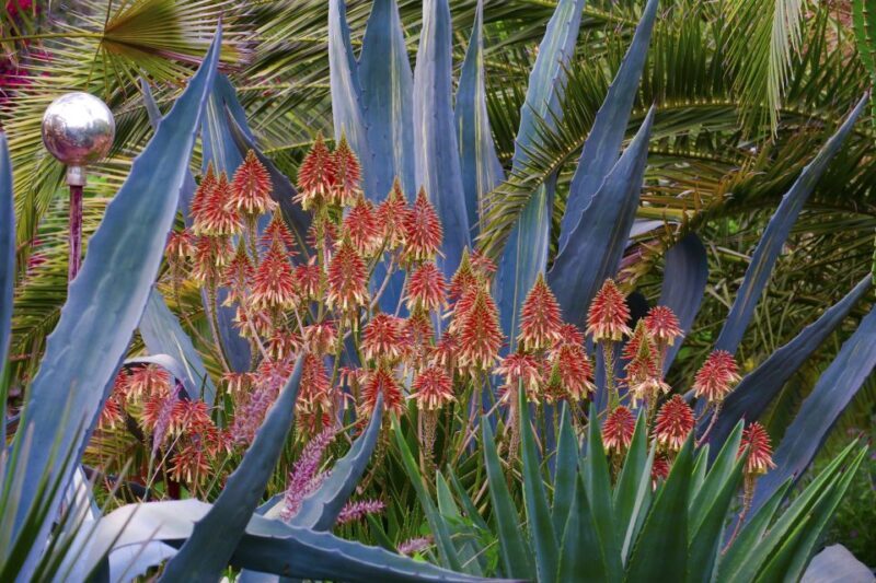 Marrakech: André Heller's ANIMA Garden Ticket - Food and Refreshments