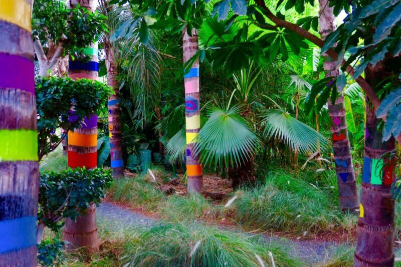 Marrakech: André Heller's ANIMA Garden Ticket - Planning Your Visit: Transportation and Timing