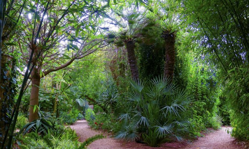 Marrakech: André Heller's ANIMA Garden Ticket - The Practicalities