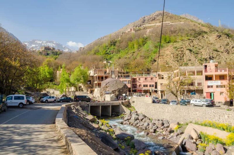 Marrakech: Anima Garden, Saffron Farm and Ourika Valley Trip - Who Should Consider This Tour