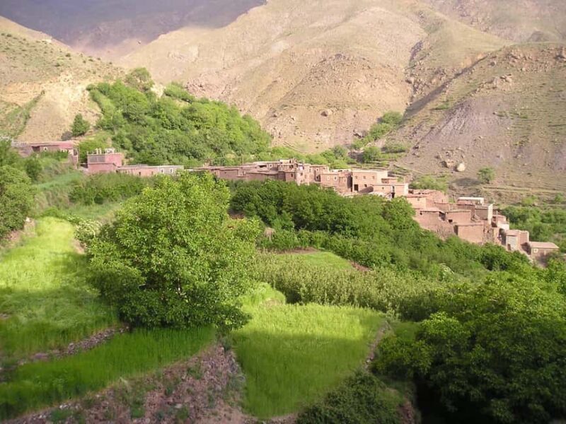 Marrakech: Anima Garden, Saffron Farm and Ourika Valley Trip - Lunch at Setti Fatma: Moroccan Flavors by the River