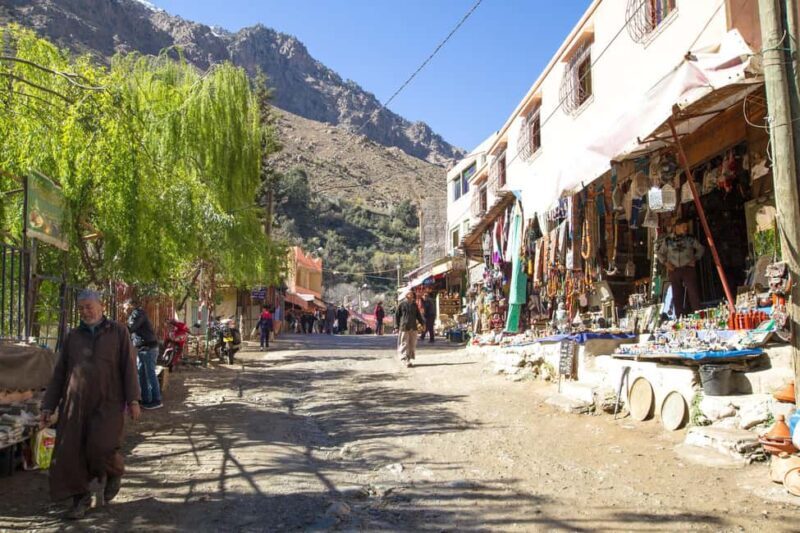 Marrakech: Anima Garden, Saffron Farm and Ourika Valley Trip - Who Would Love This Tour?