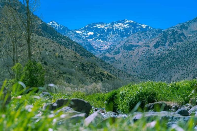 Marrakech: Atlas Adventure, Hike, Camel Ride &desert & lunch - Who Should Consider This Tour?