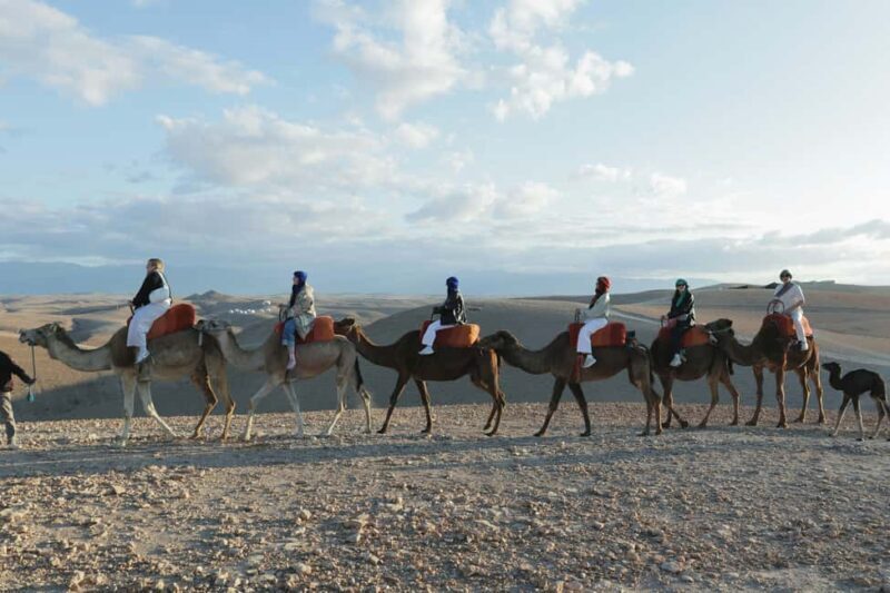 Marrakech: Atlas Adventure, Hike, Camel Ride &desert & lunch - Final Thoughts: Is It Worth It?