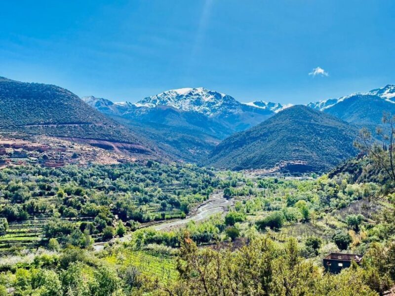 Marrakech: Atlas Mountain, Berber Villages, & Valleys Tour - Is It a Good Value?
