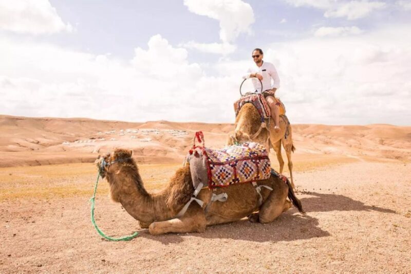 Marrakech: Atlas Mountains, Agafay Desert, Lunch, Camel Ride - Authenticity and Reviews
