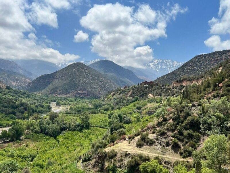 Marrakech: Atlas Mountains, Agafay Desert, Waterfall & Lunch - The Food and Cultural Highlights